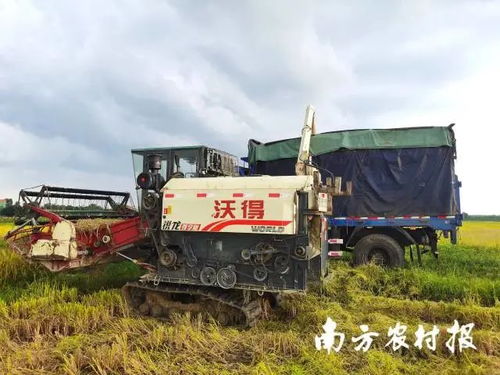 廣東各方協同行動，農機服務筑牢農業基本盤以應對災情挑戰
